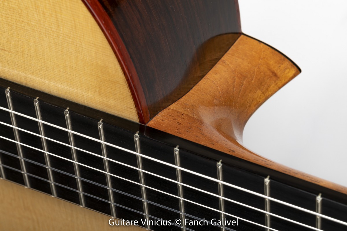 Vinicius _ Guitare classique. Luthier : Vincent Jannot