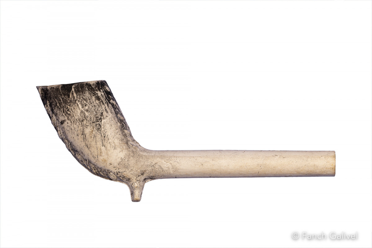 Pipe _ iles Kerguelen