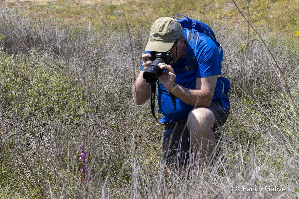 Plouharnel _ Balade Orchidées et papillons à Sainte-Barbe avec le Syndicat Mixte du grand Site Gâvres-Quiberon. Aqta _ Semaine du developpement durable