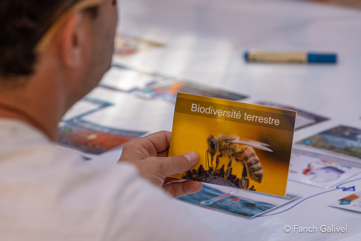 Fresque du climat, réflexion autour de la thématique climatique et environnementale