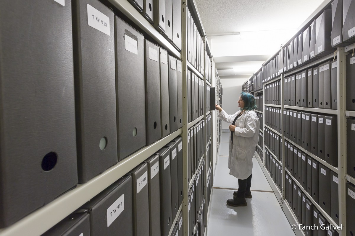 Magazin d'archivage des Archives départementales du Morbihan