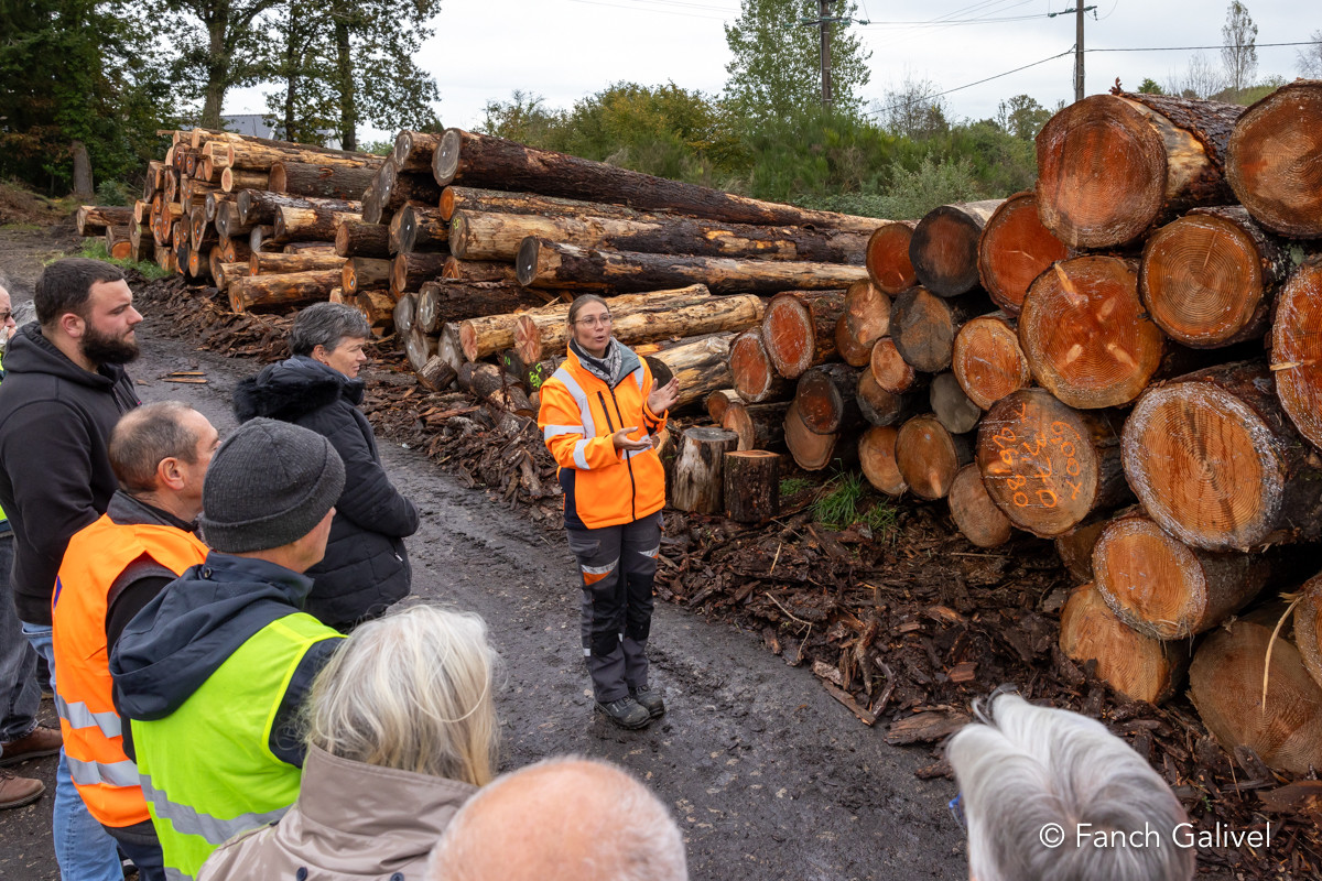 Scierie Jarno Bois à Camors