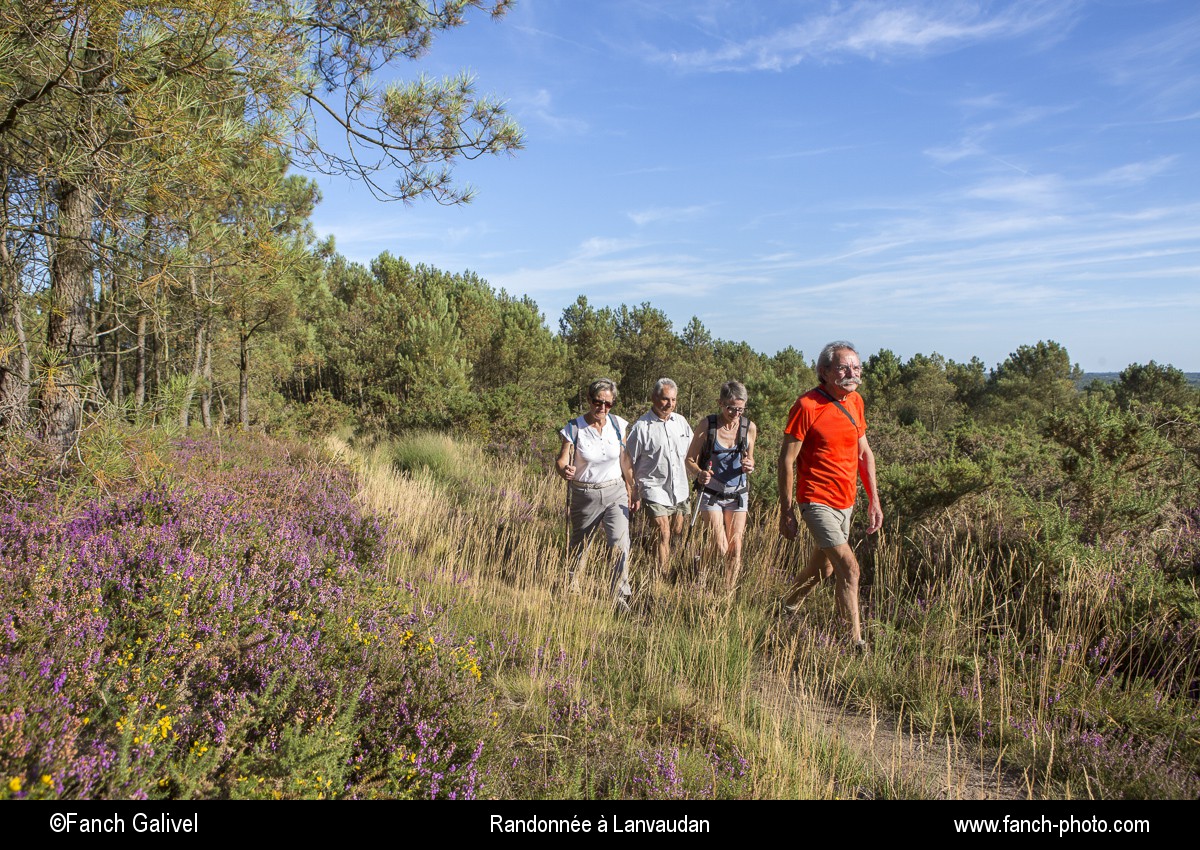 Randonnée pédestre dans les bois et les landes de Lomelec sur la commune de Lanvaudan.