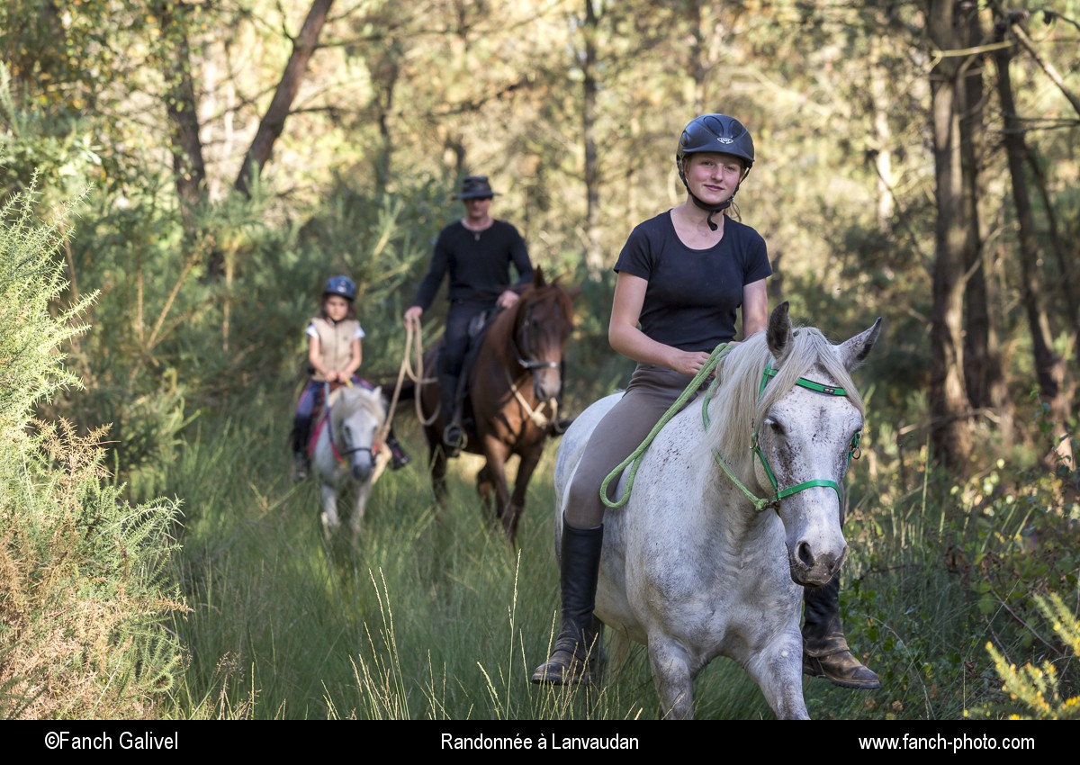 Randonnée équestre dans les bois et les landes de Lomelec sur la commune de Lanvaudan.