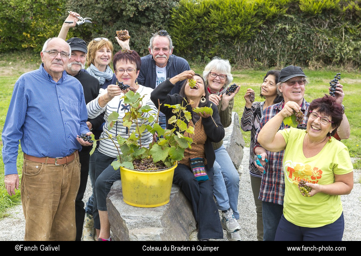 Groupe de vendangeurs faisant parti de l'associaTion des amis de la vigne. Coteau du Braden à Quimper