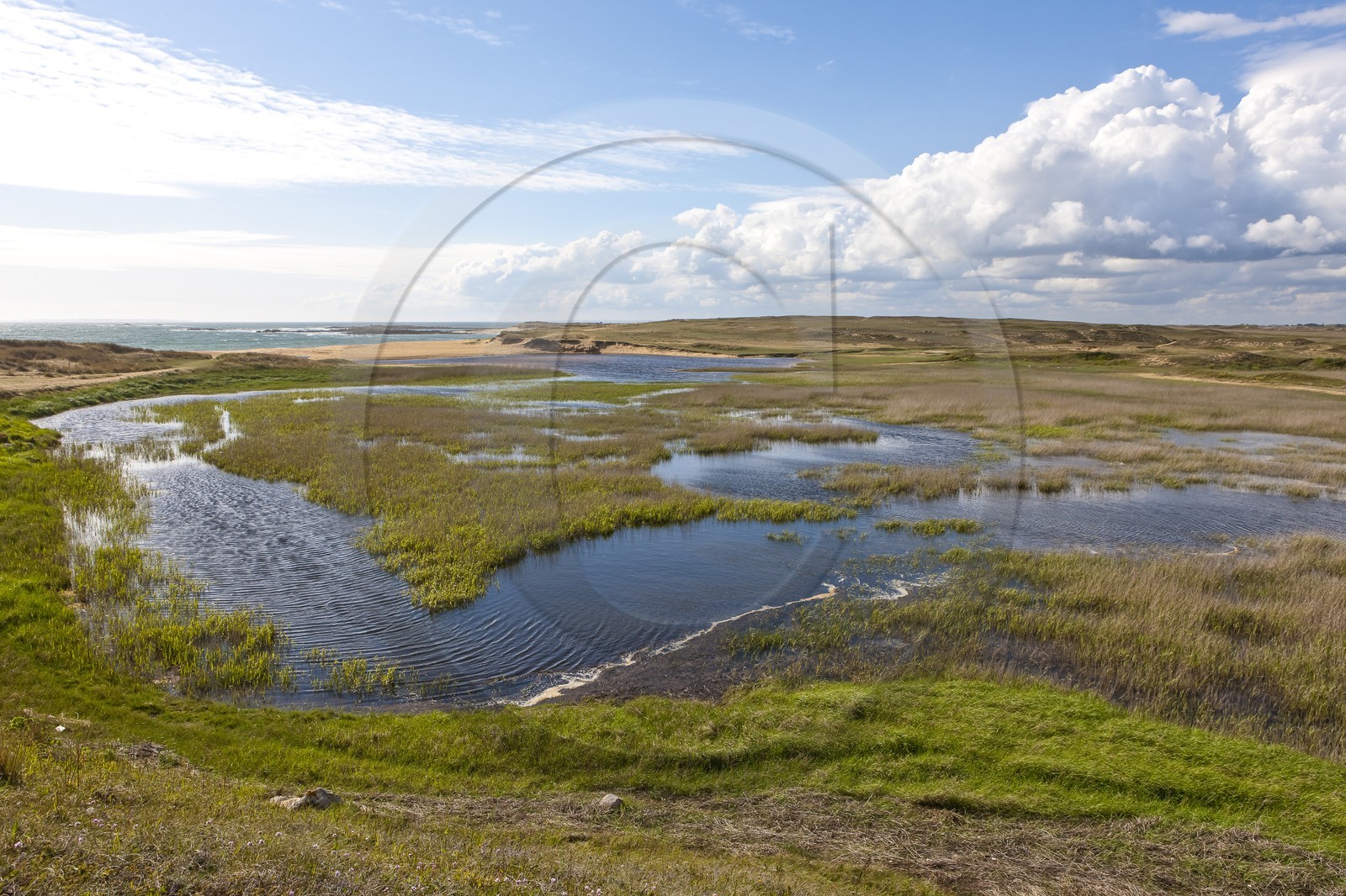 dunes et marais d'Erdeven