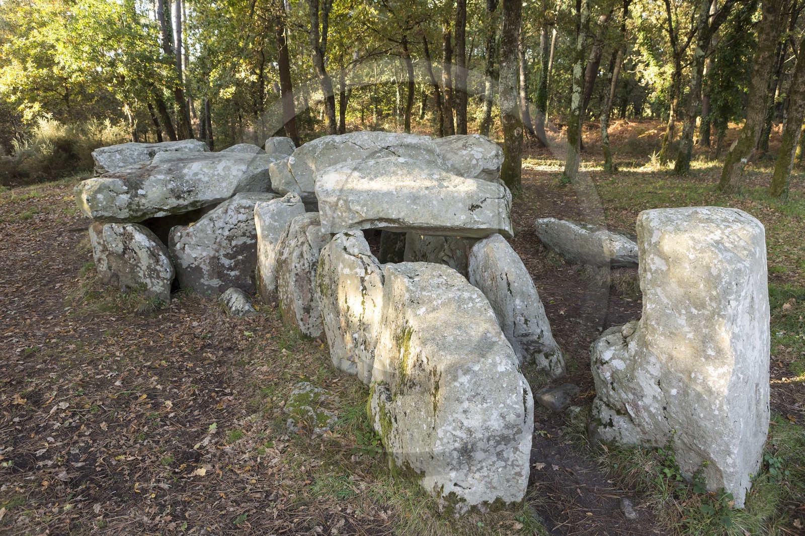 Le dolmen de Mané Groh _ Erdeven