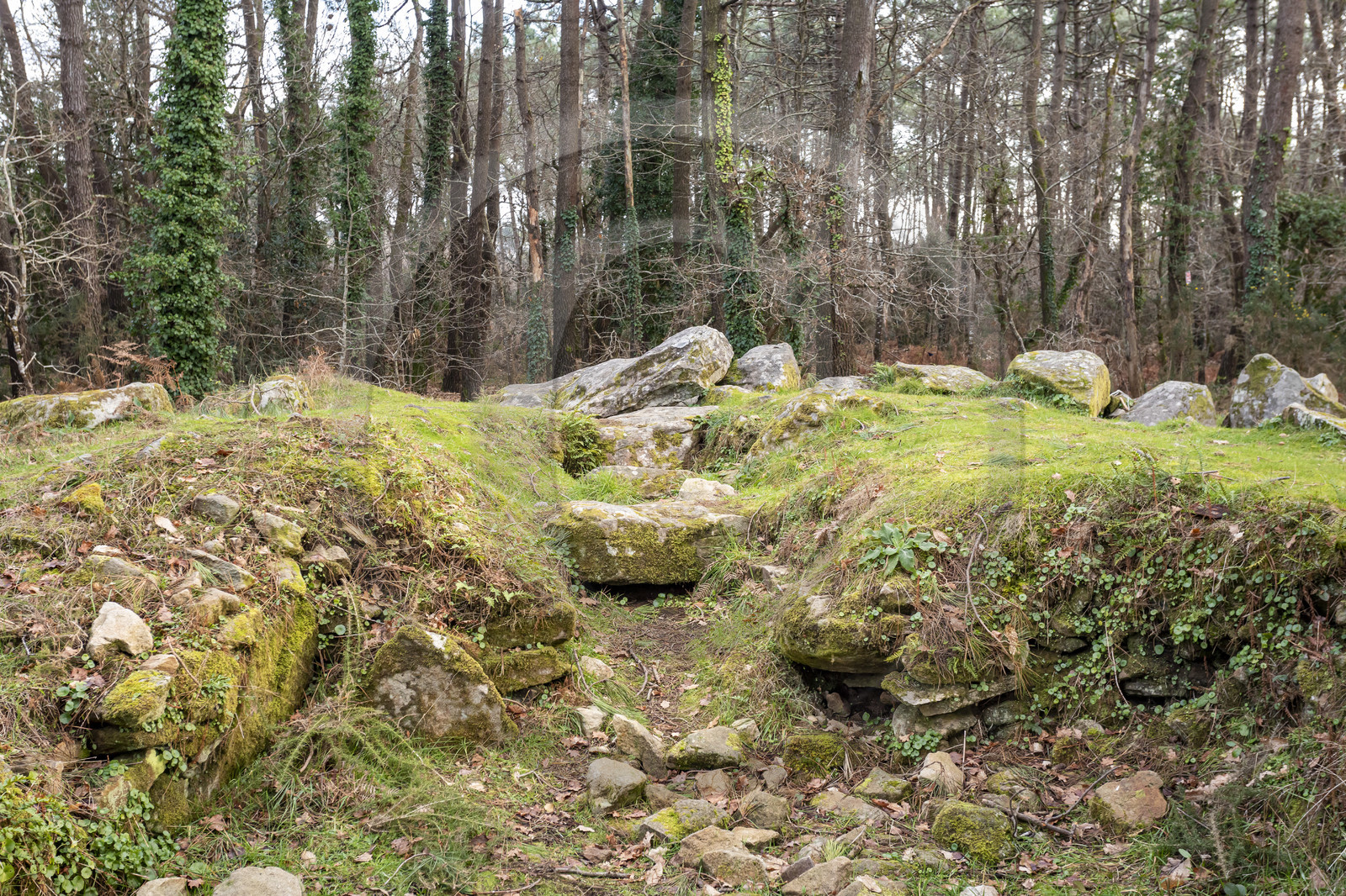 Le dolmen de Mané-Ven-Guen ou Toulvern situé à Baden