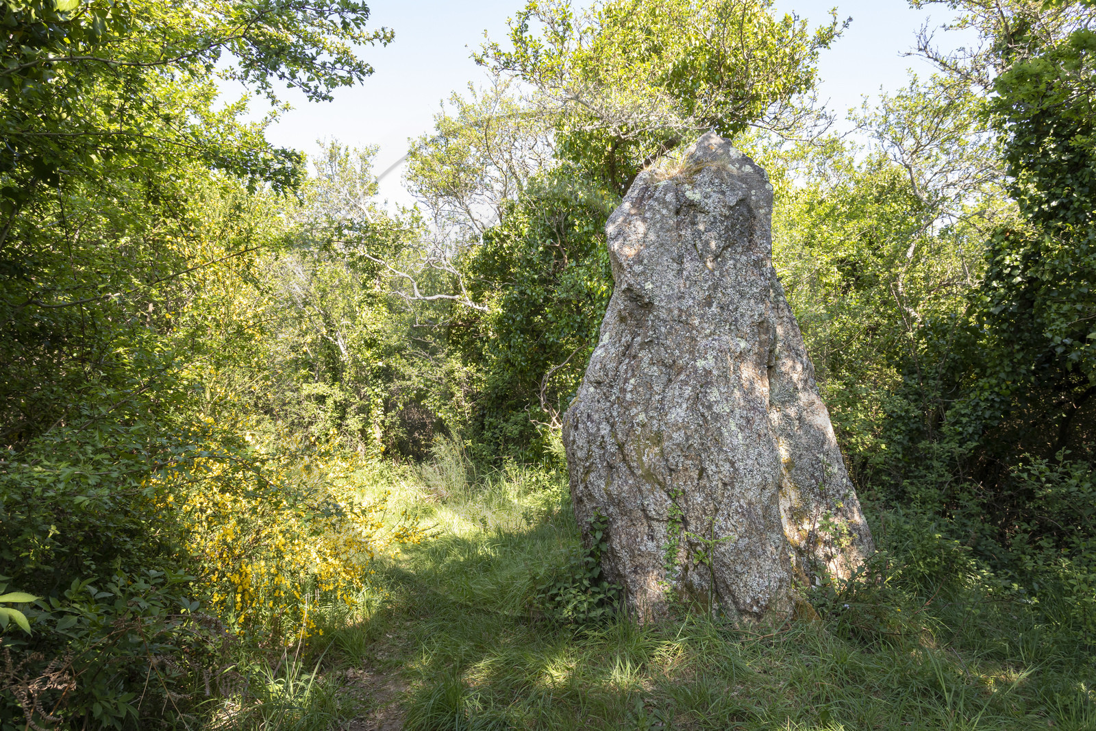 menhir de Men er Palud _ Saint-Gildas-de-Rhuys