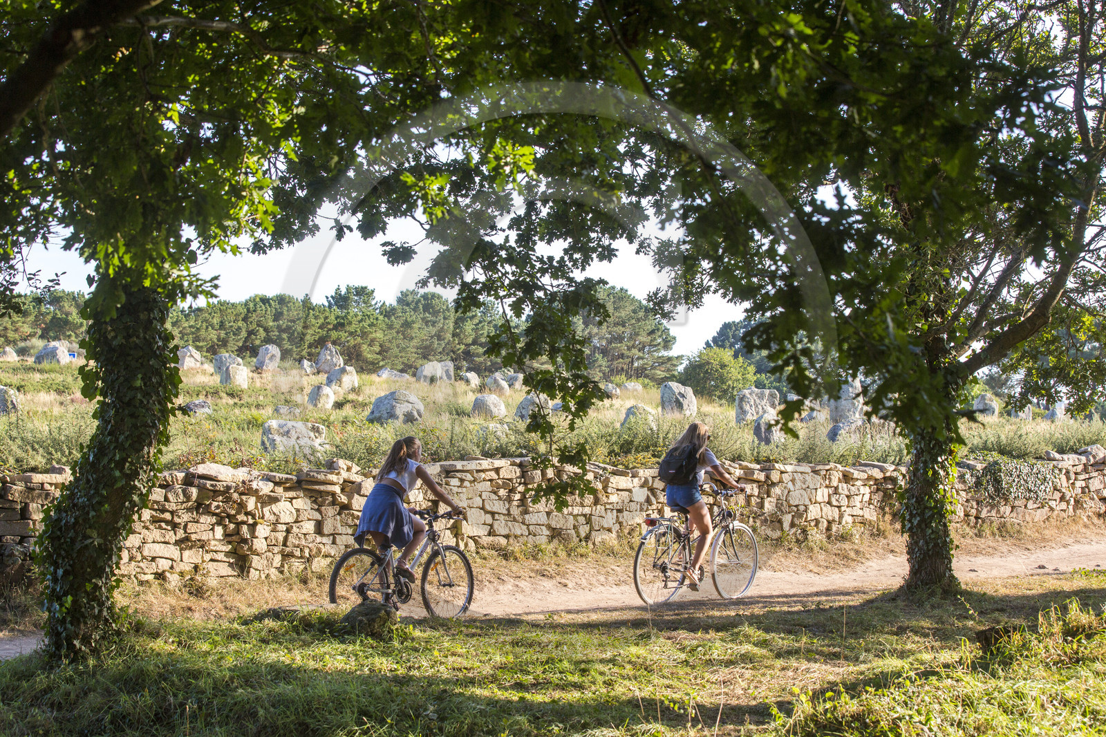 Alignements du Ménec à Carnac