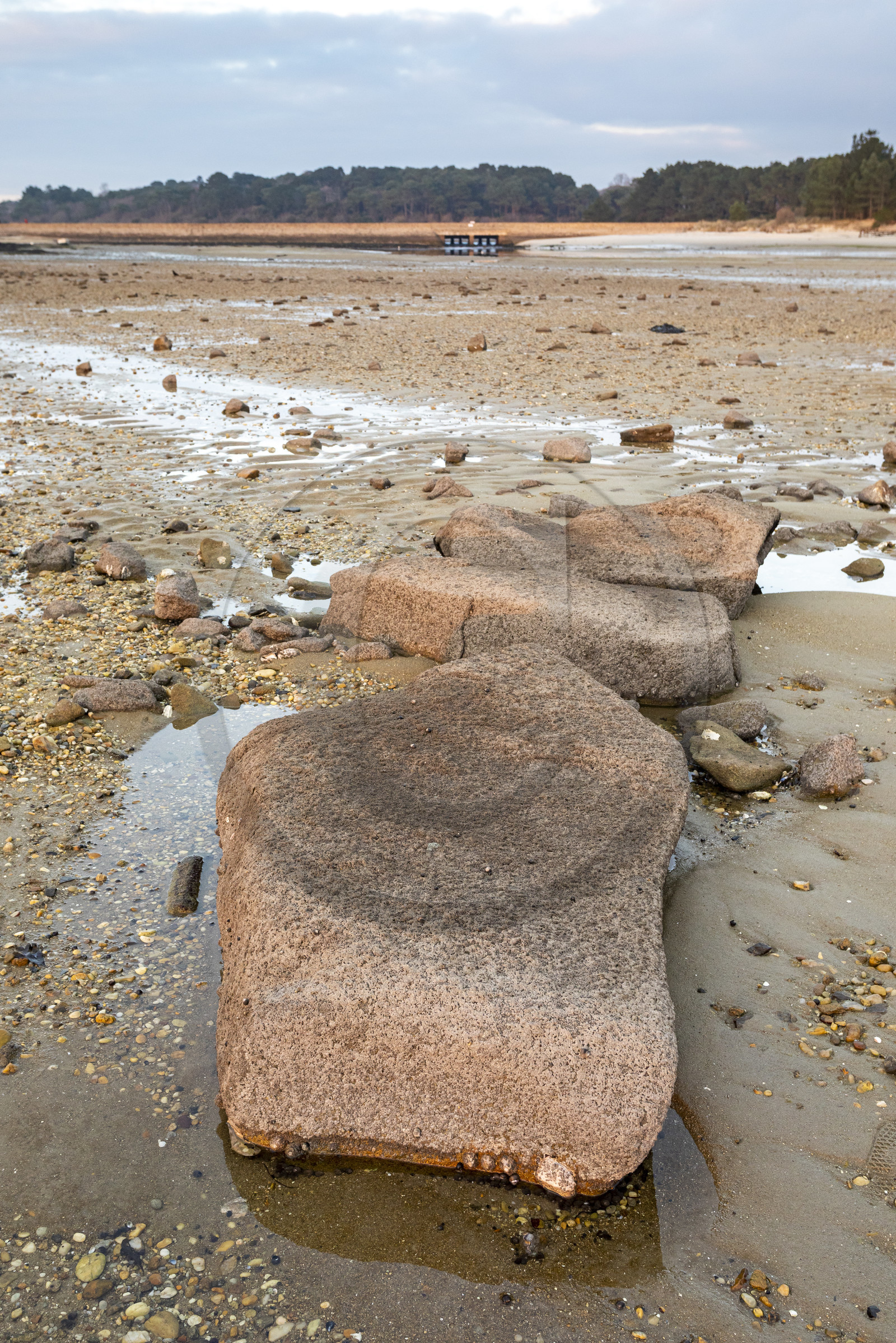 Alignements de Kerdual _ la Trinité sur Mer