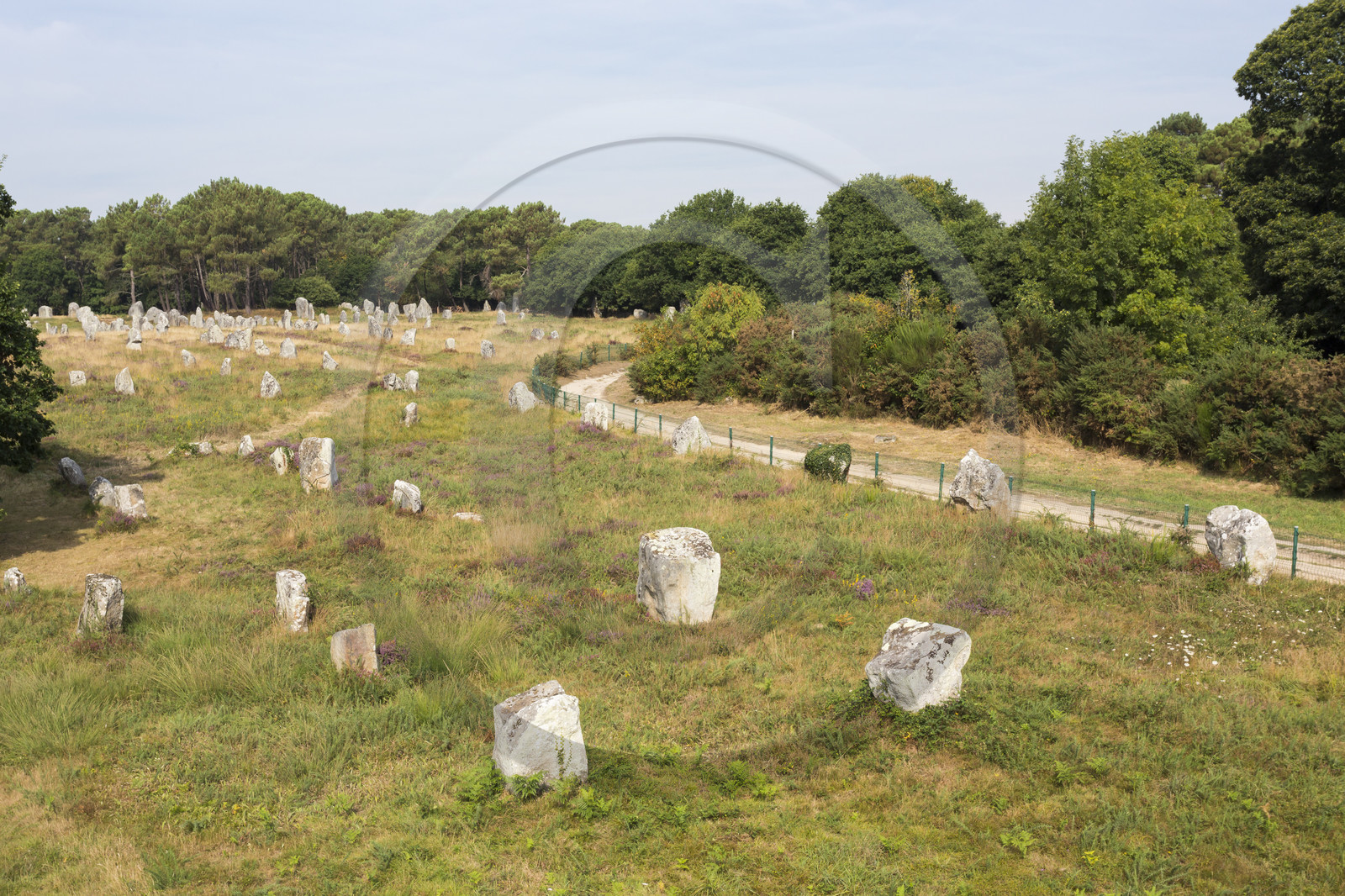 Les alignements de Kerlescan _ Carnac