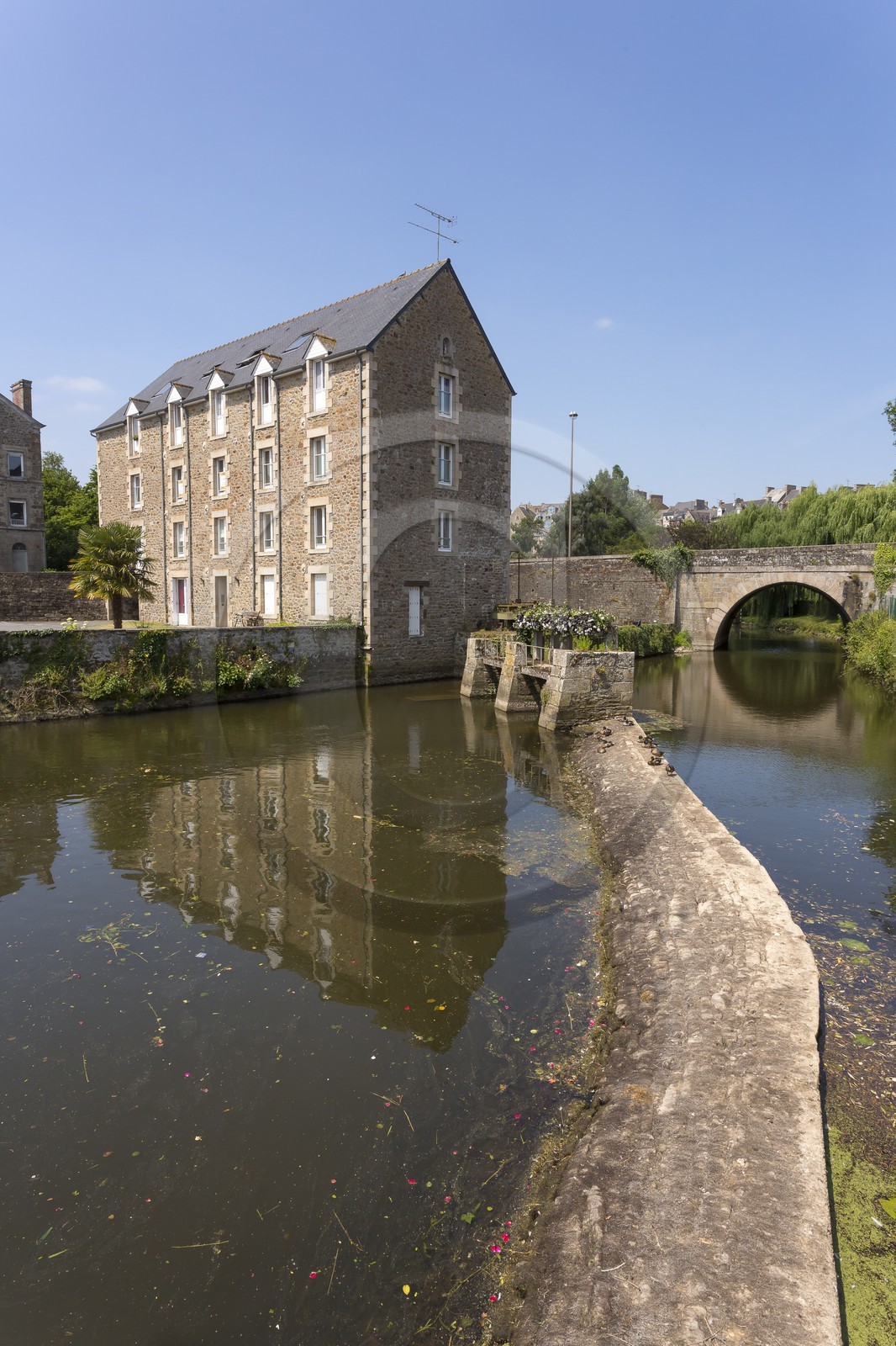 Les moulins du port de Plancoët ( 22 ).