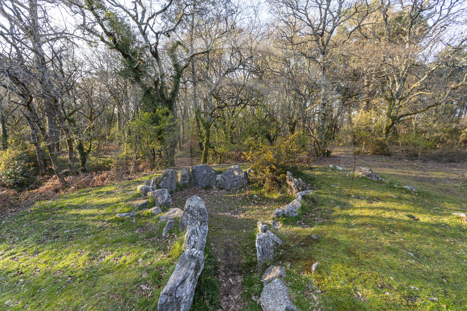 Le site mégalithiques de Mané Bogad à Ploemel
