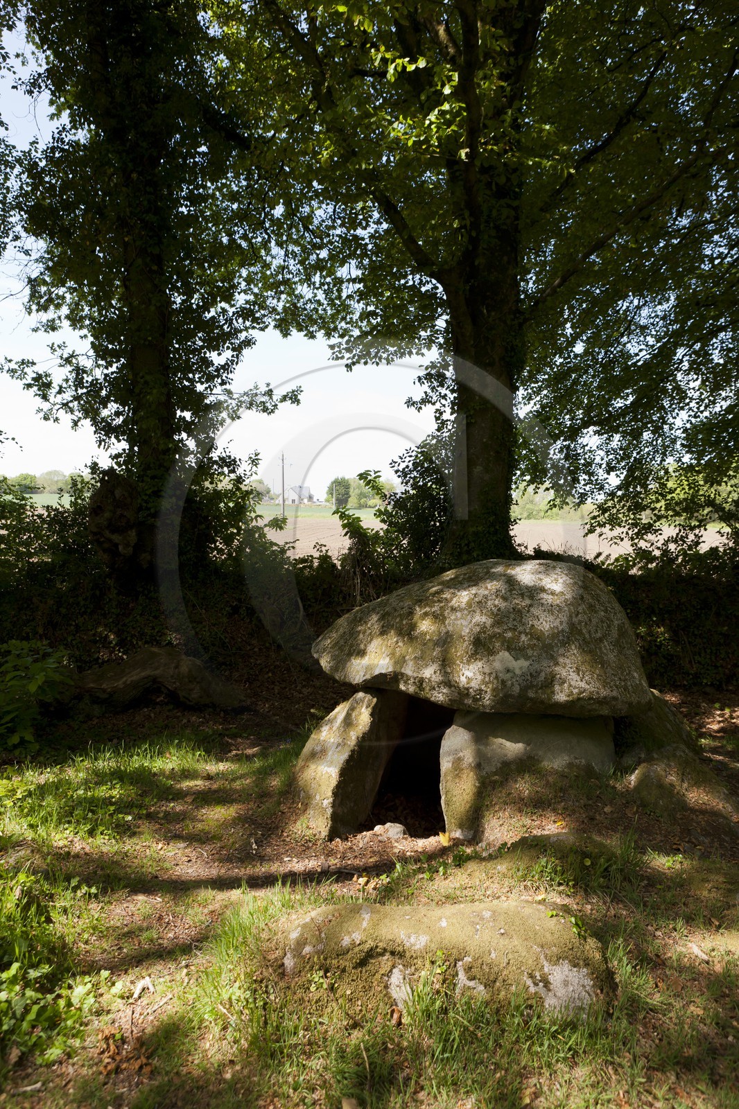 Dolmen de Lesvariel _ Guidel