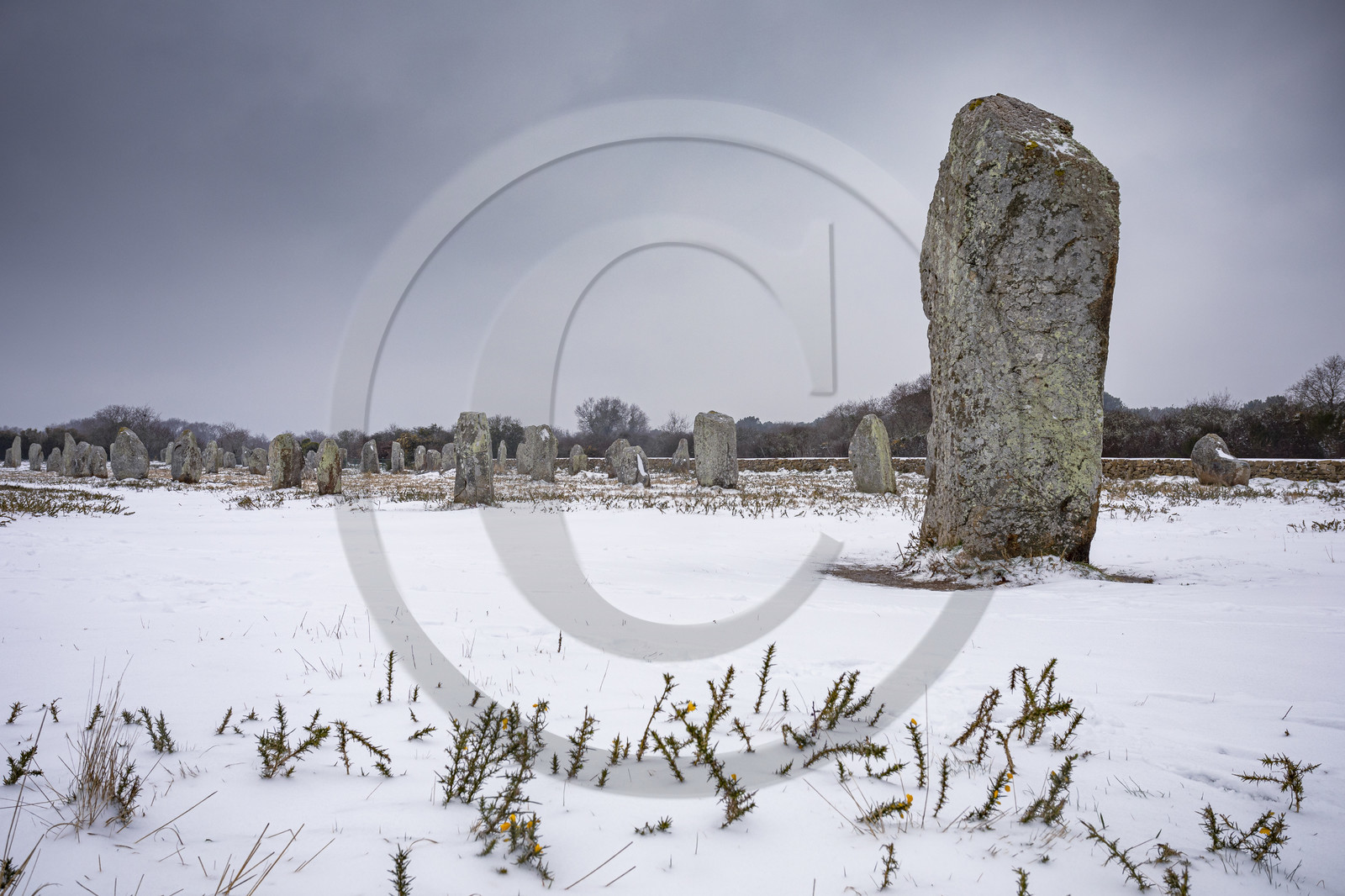 20210211_Carnac_19A8081