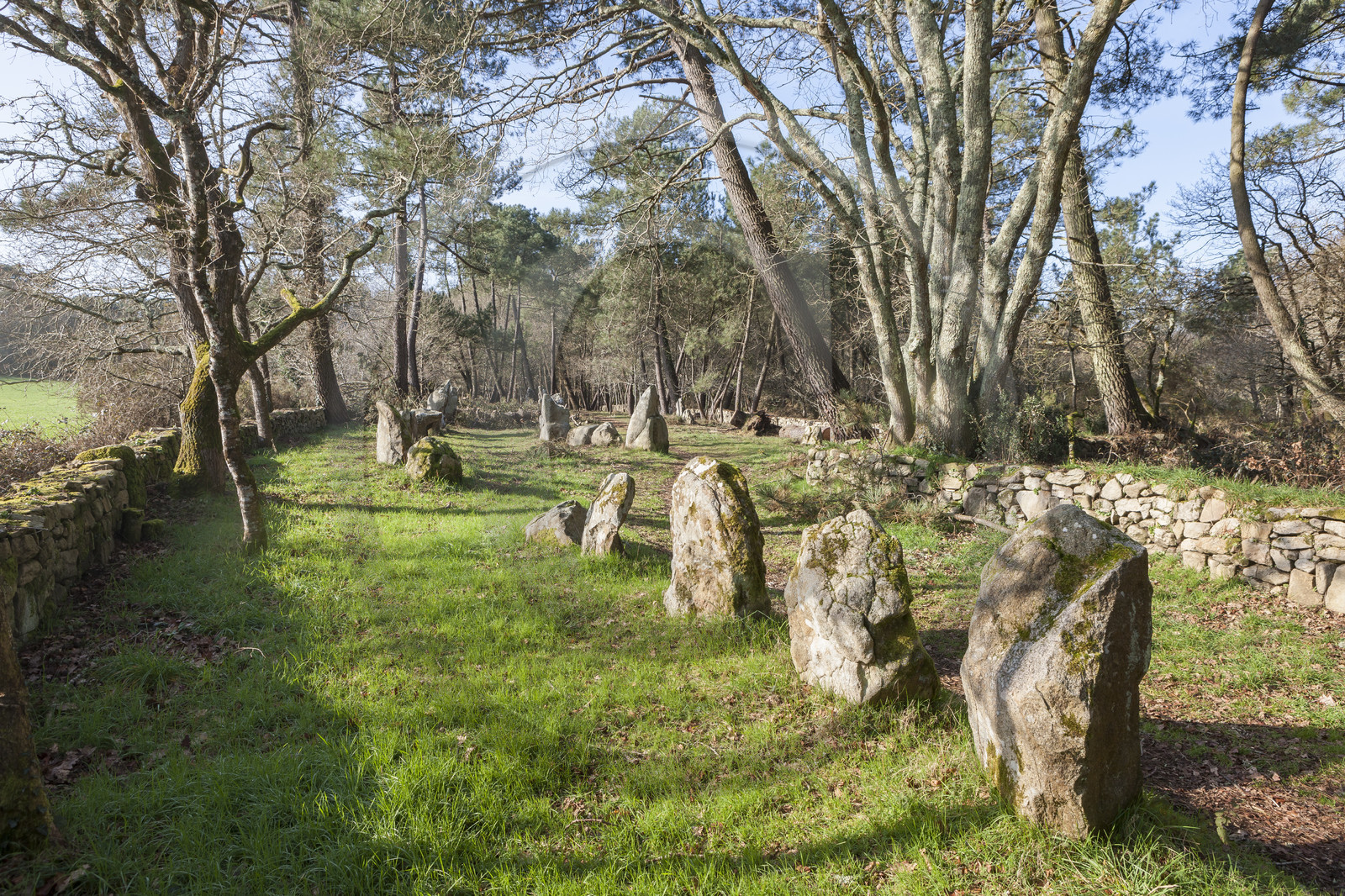 Alignements du Petit Menec _ La Trinite sur Mer