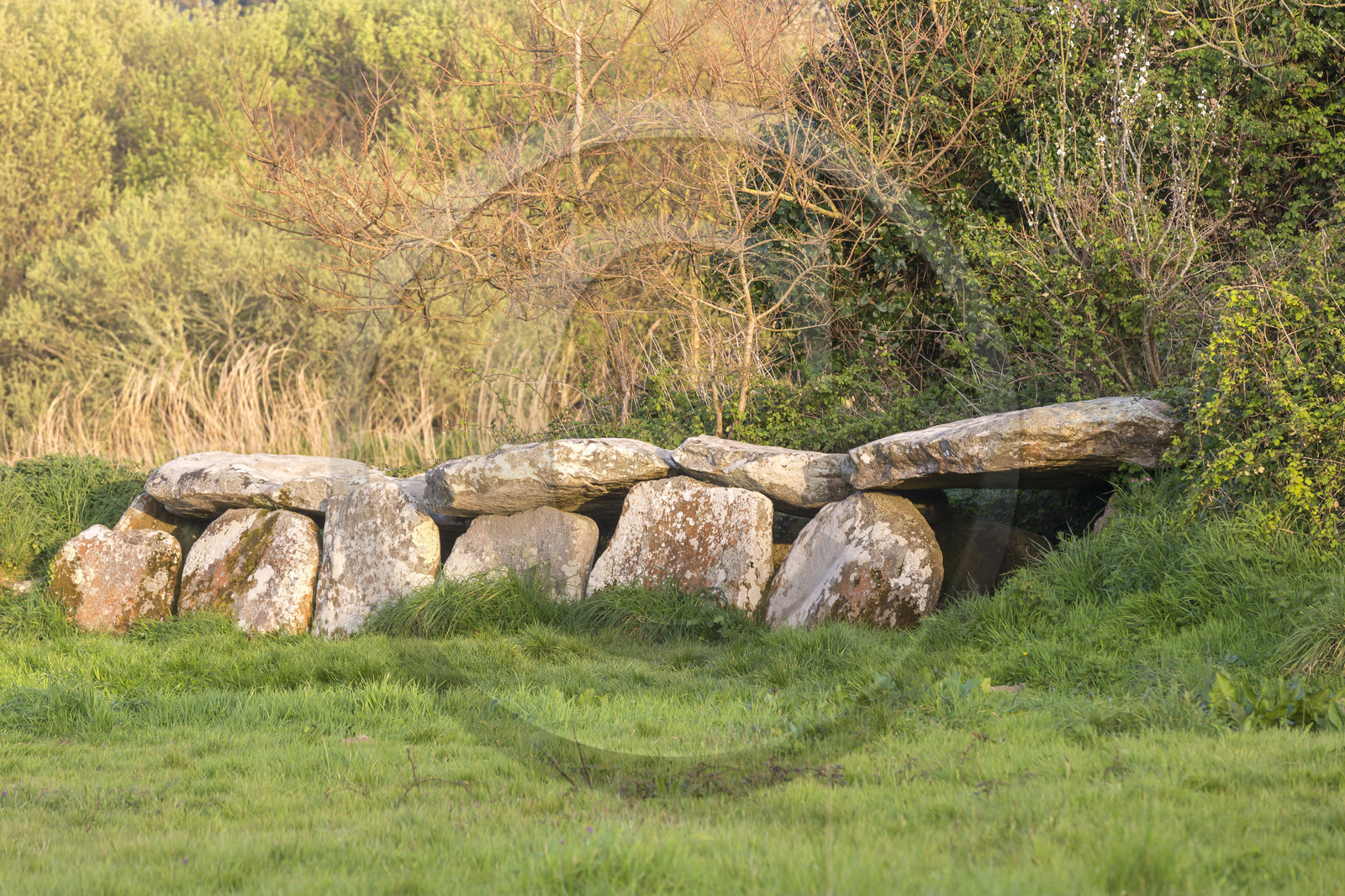 L'allée couverte de Kerguntuil à Trégastel.
