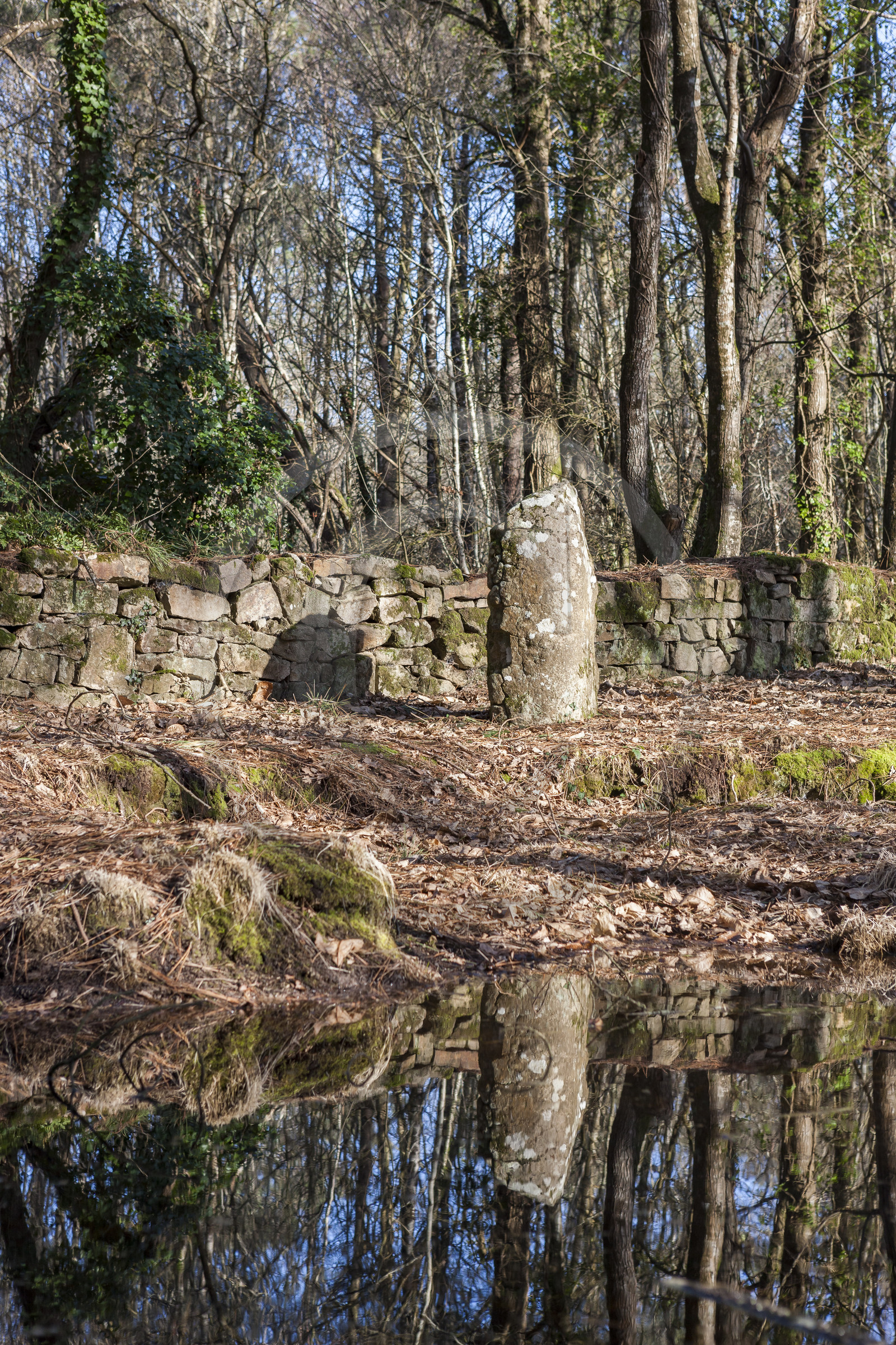 Alignements du Petit Menec _ La Trinite sur Mer