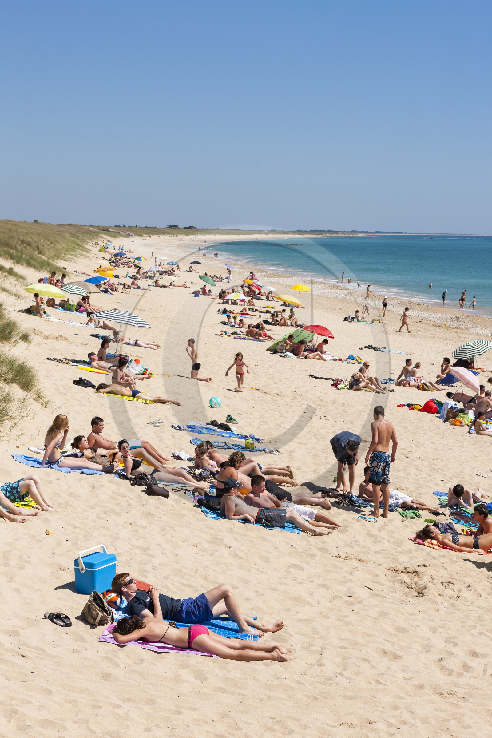 Gavres_Plage de Lines