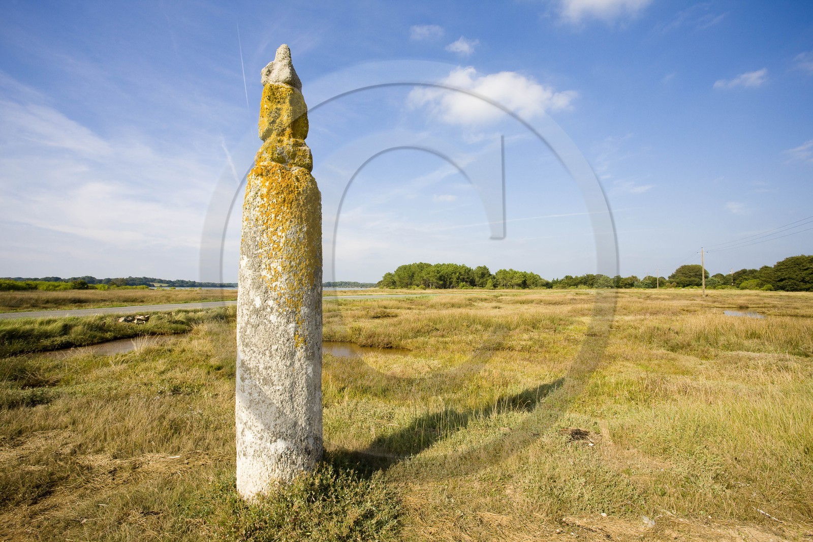 Quenouille Ste Brigitte. Locoal Mendon_Morbihan