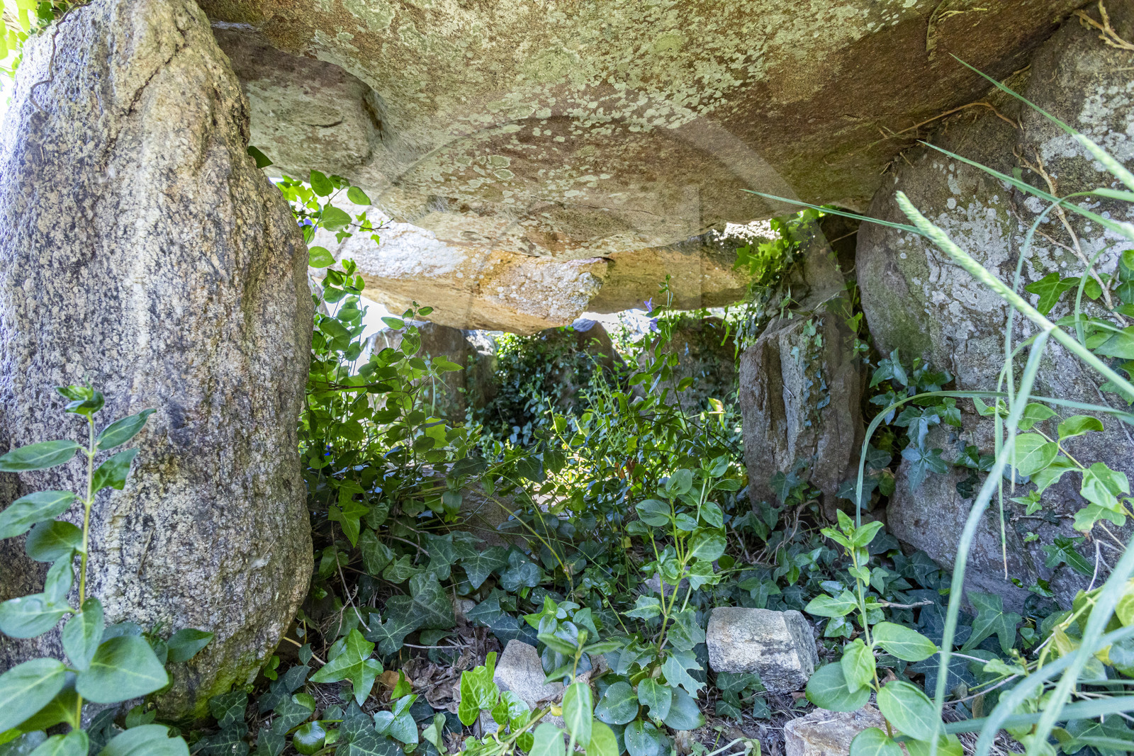 Le dolmen de Lannek-er-Men à Sarzeau