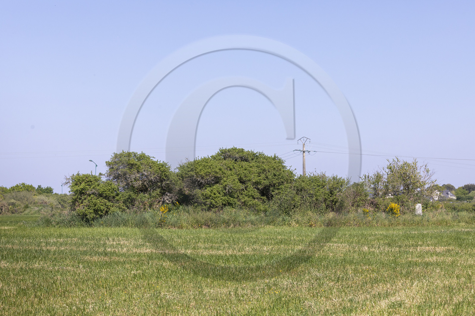 Allée couverte du Net _ Saint-Gildas-de-Rhuys