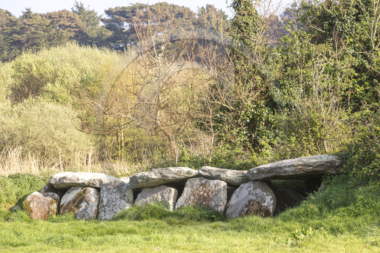 L'allée couverte de Kerguntuil à Trégastel.