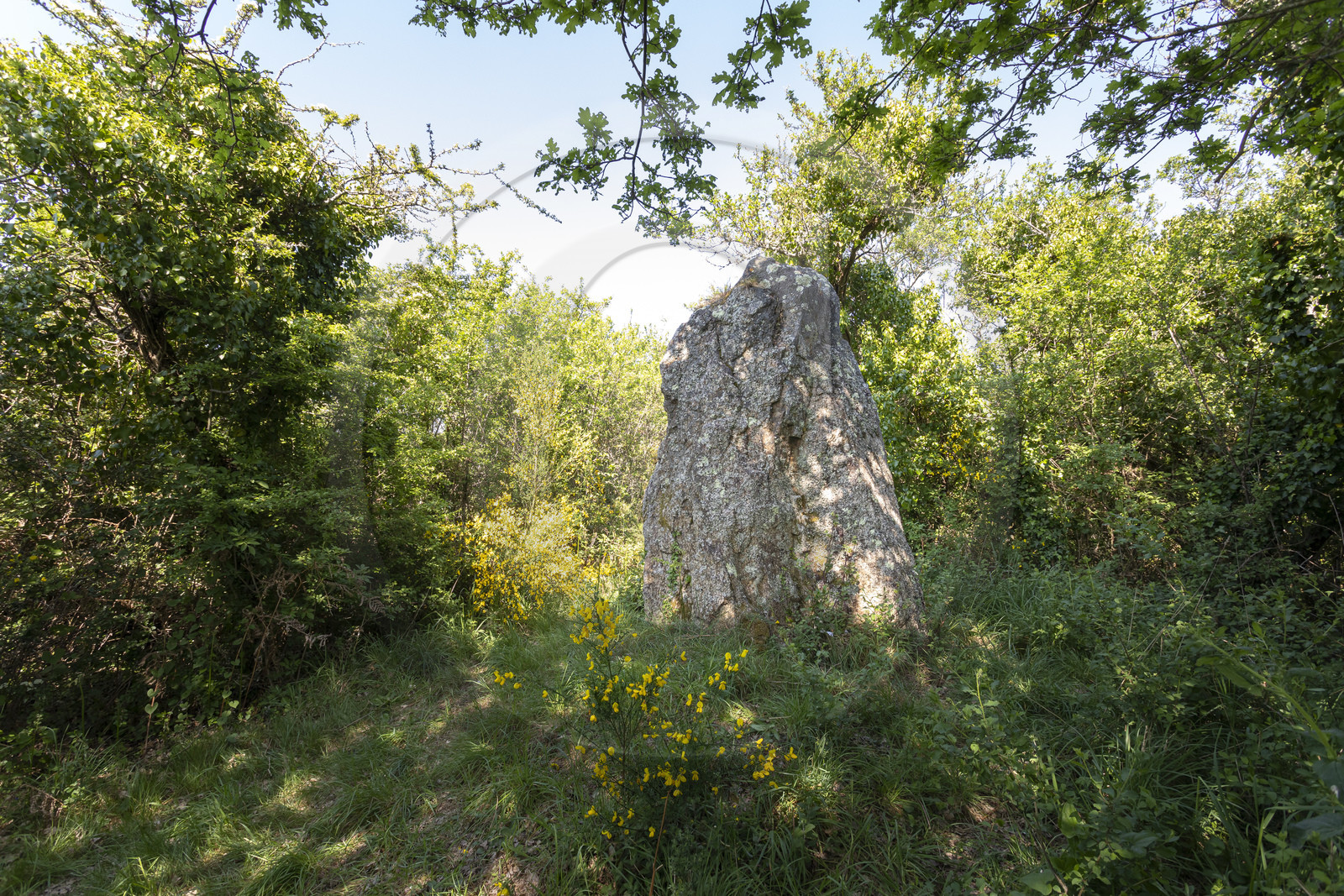 menhir de Men er Palud _ Saint-Gildas-de-Rhuys