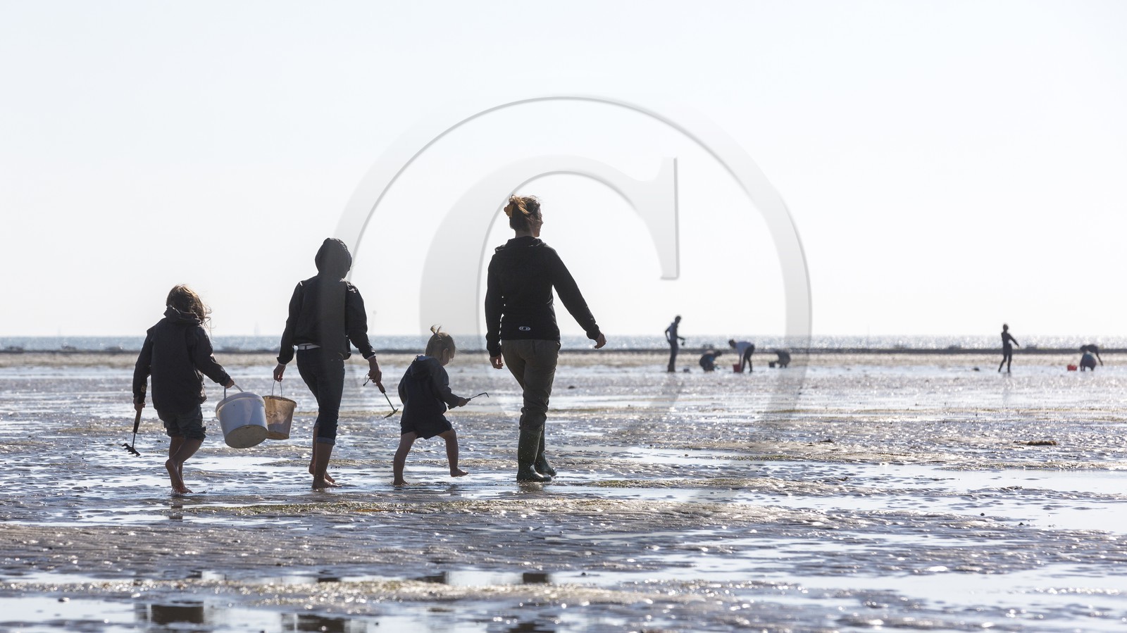Pêche à pied_Plouharnel