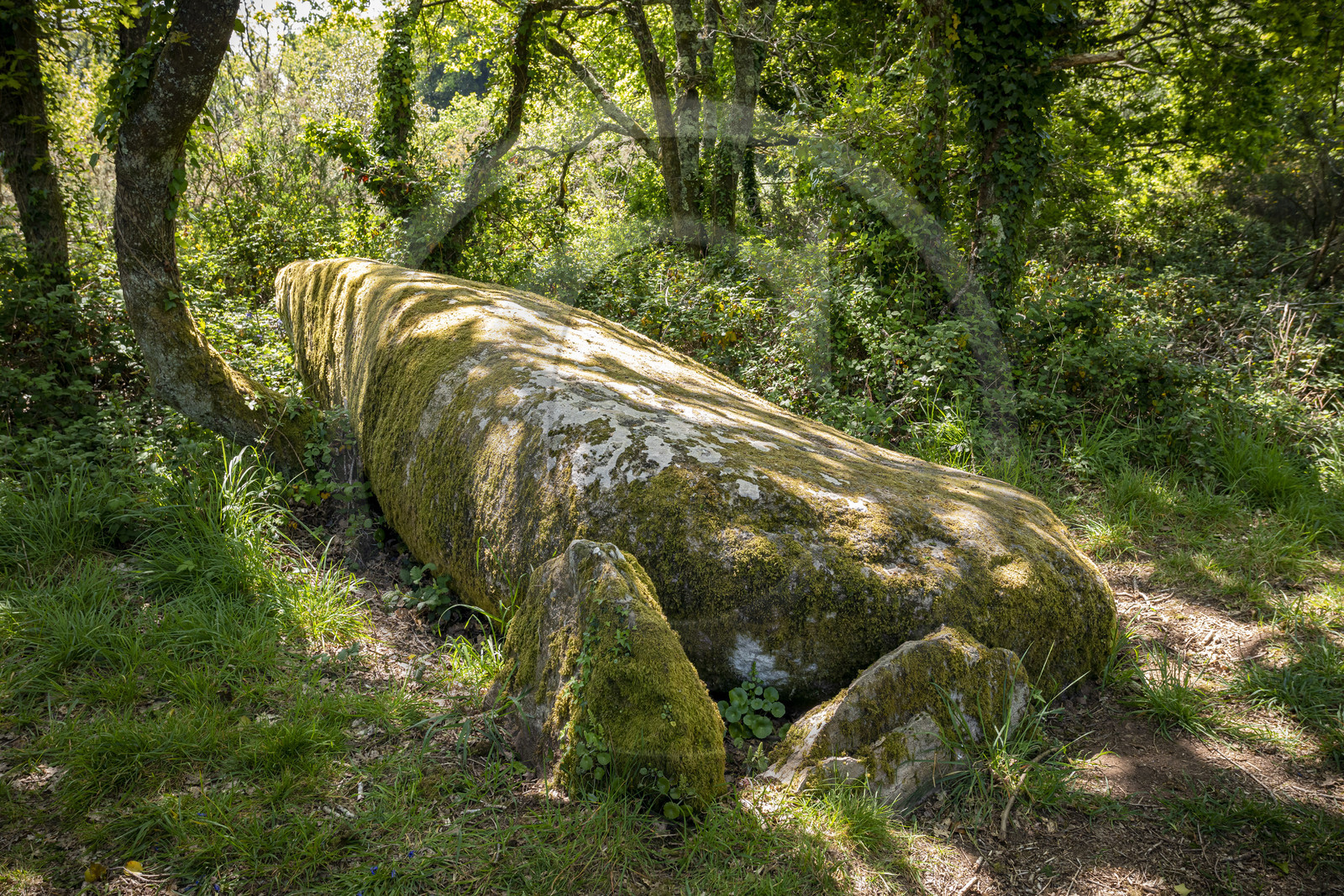 Dolmen de Men Hiaul (Kerblay) à Sarzeau