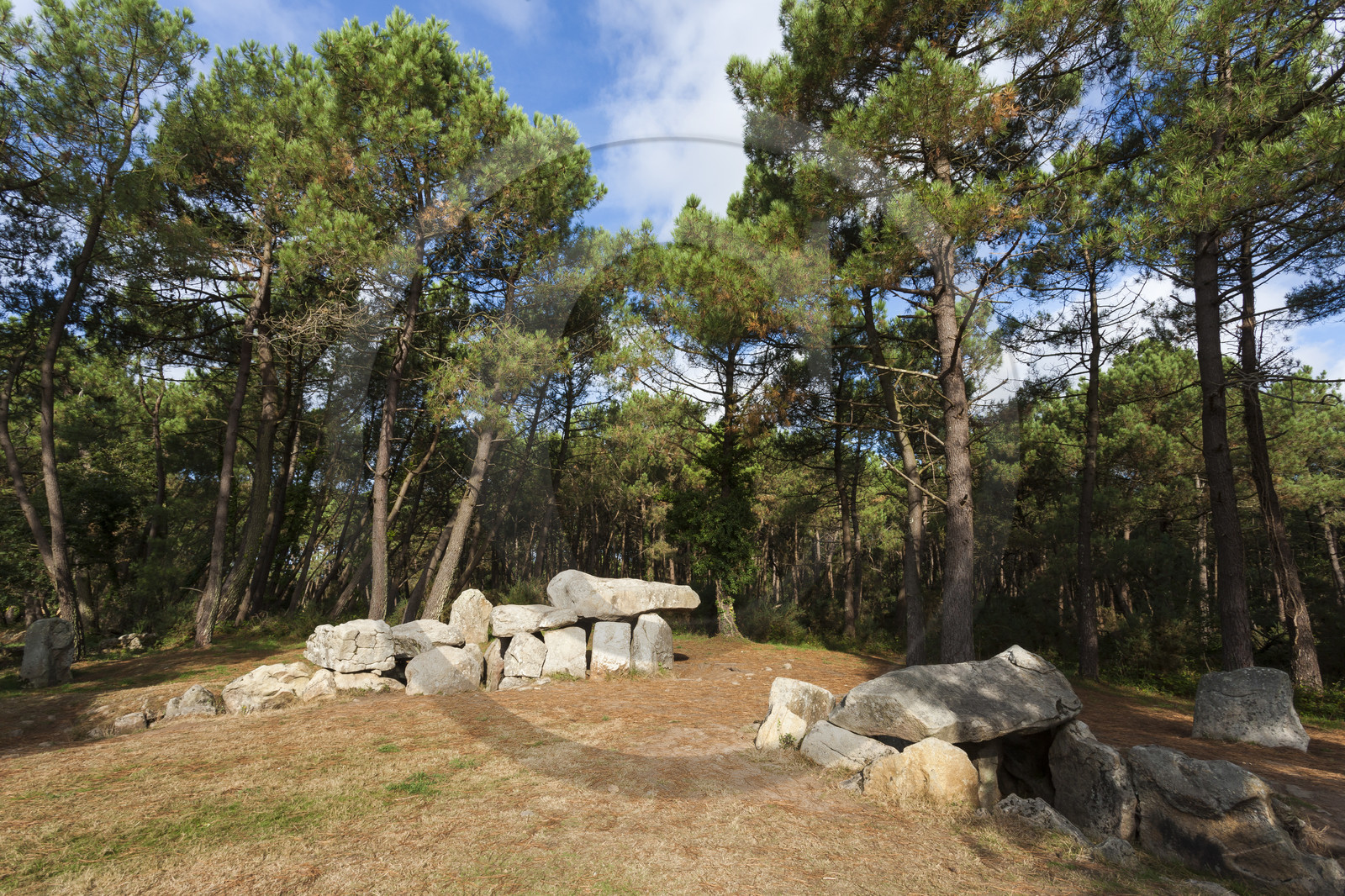 Les dolmens de Mané-Kerioned à Carnac
