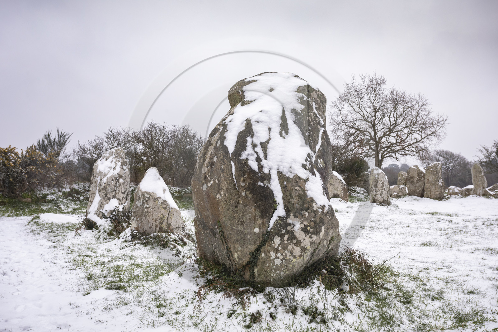 Alignements de Kerzerho _ Erdeven