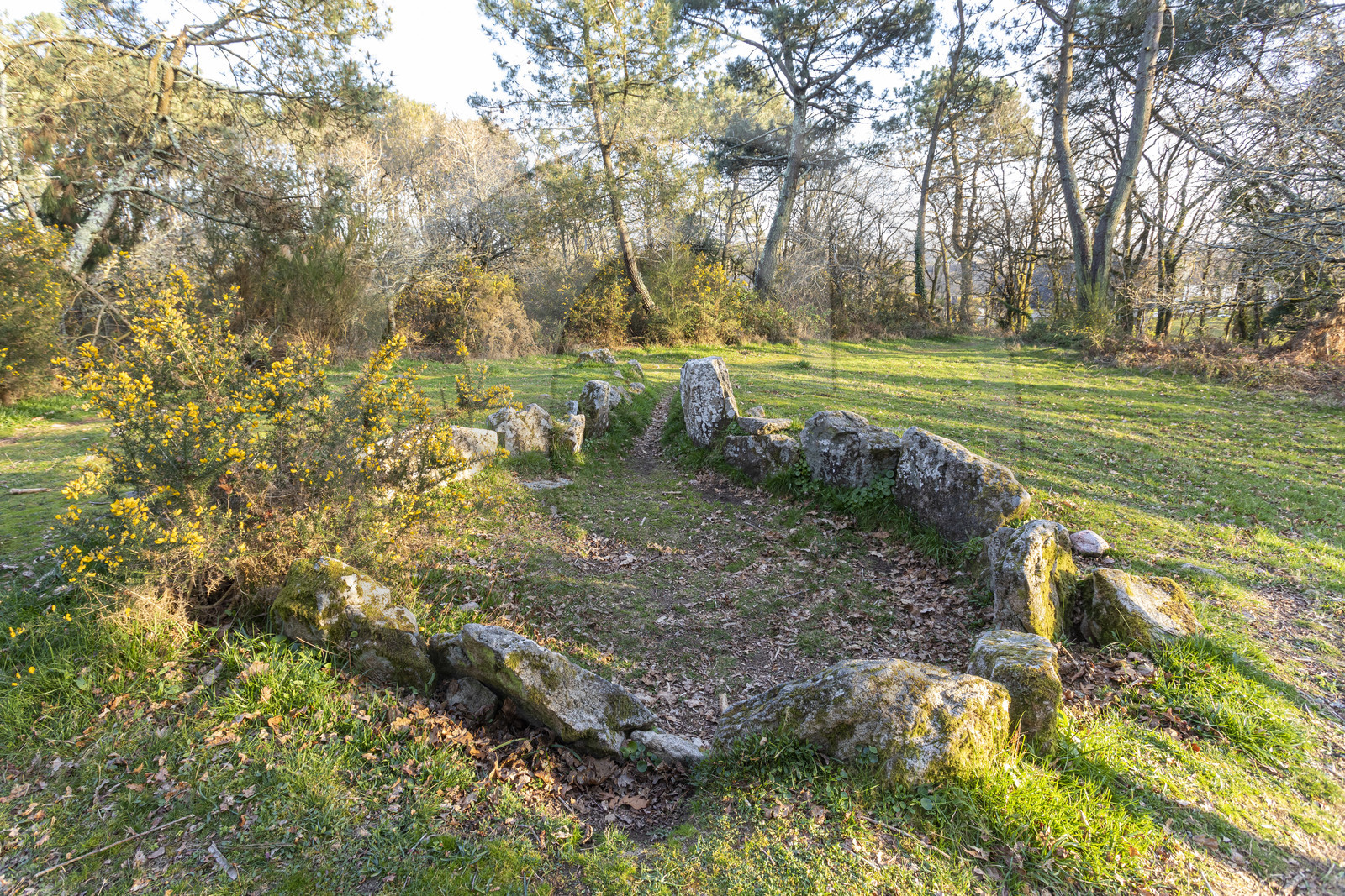 Le site mégalithiques de Mané Bogad à Ploemel