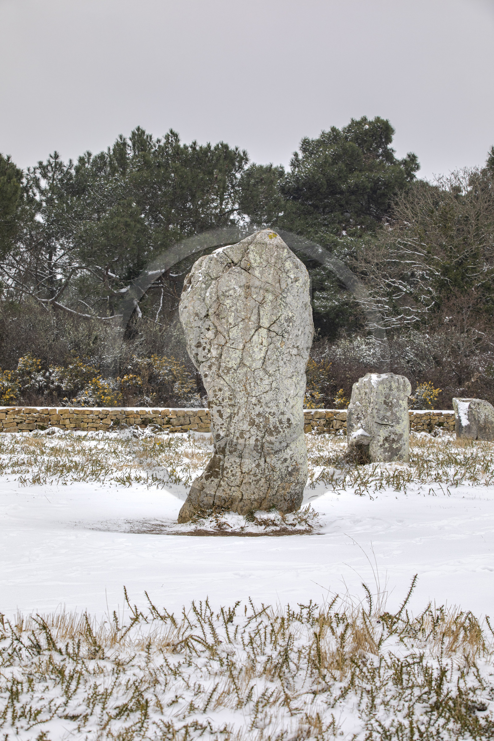 20210211_Carnac_19A8044