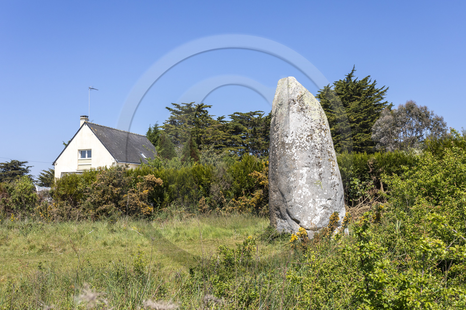 Le menhir de Kermaillard à Sarzeau