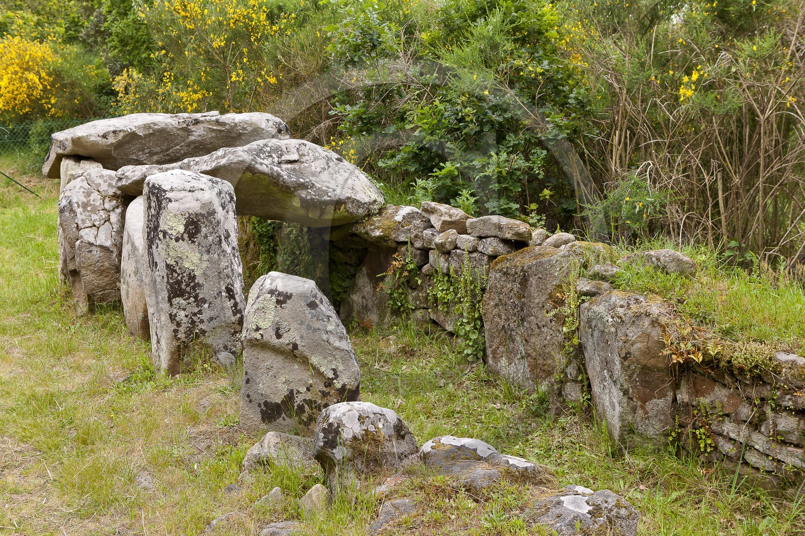 SITE ARCHEOLOGIQUE DE MANE ROULARDE _ LA TRINITE SUR MER