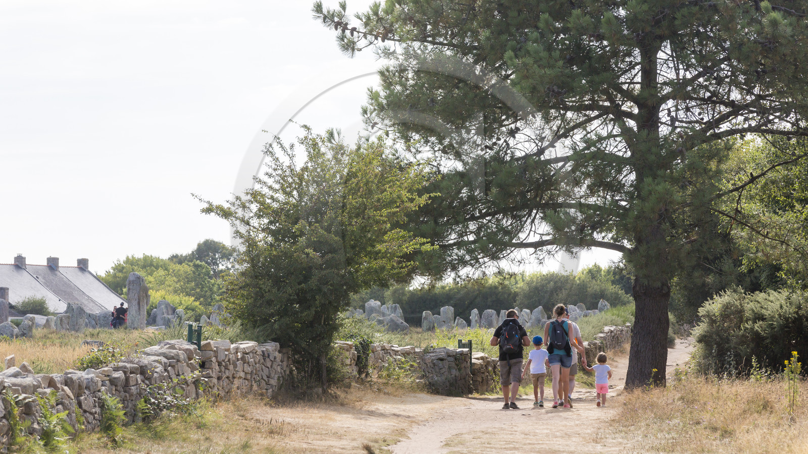 Alignements du Ménec à Carnac