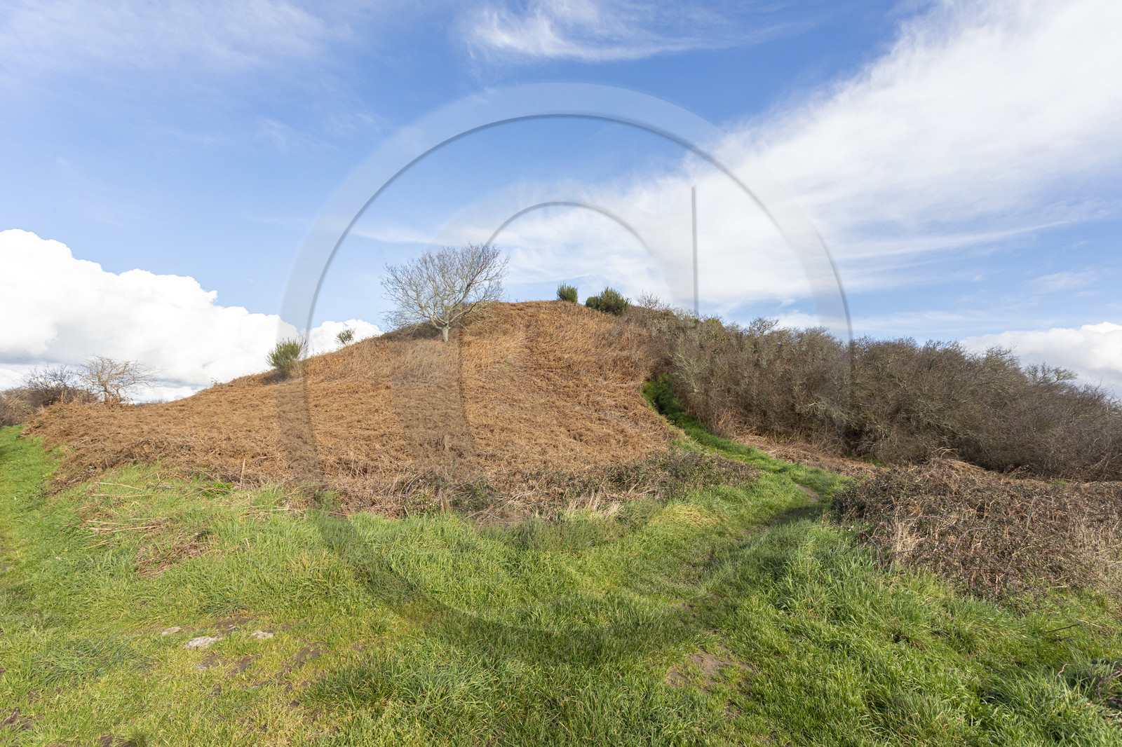 Tumulus de Tumiac à Arzon