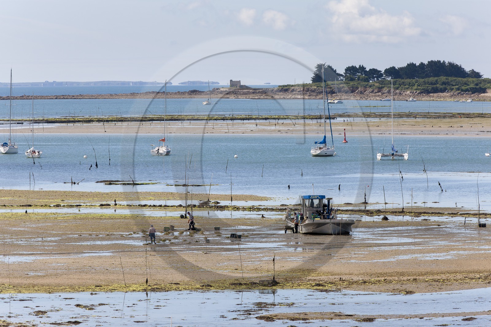 La riviere de Crach depuis Saint-Philibert.