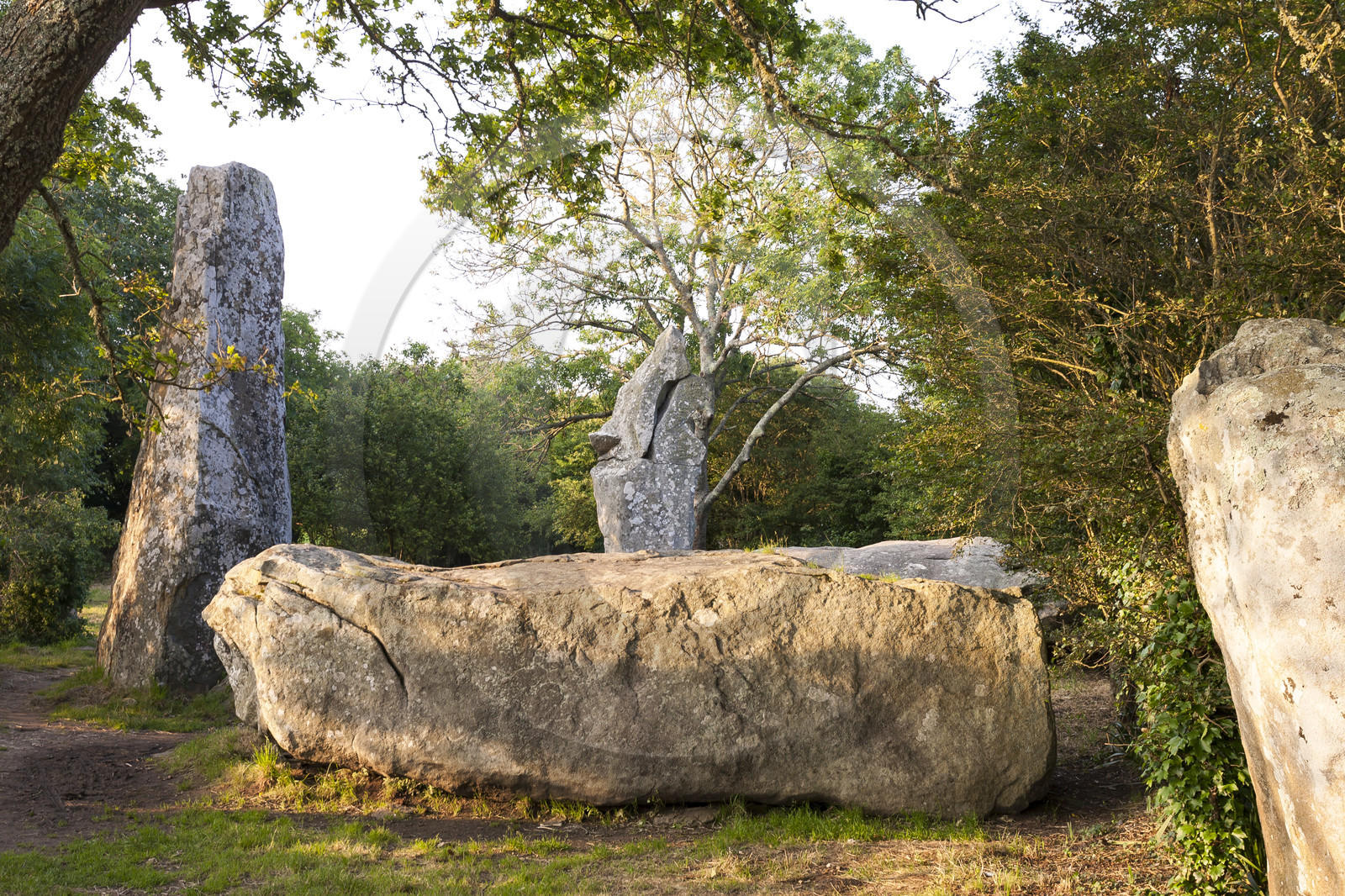 Alignements de Kerzerho _ Erdeven