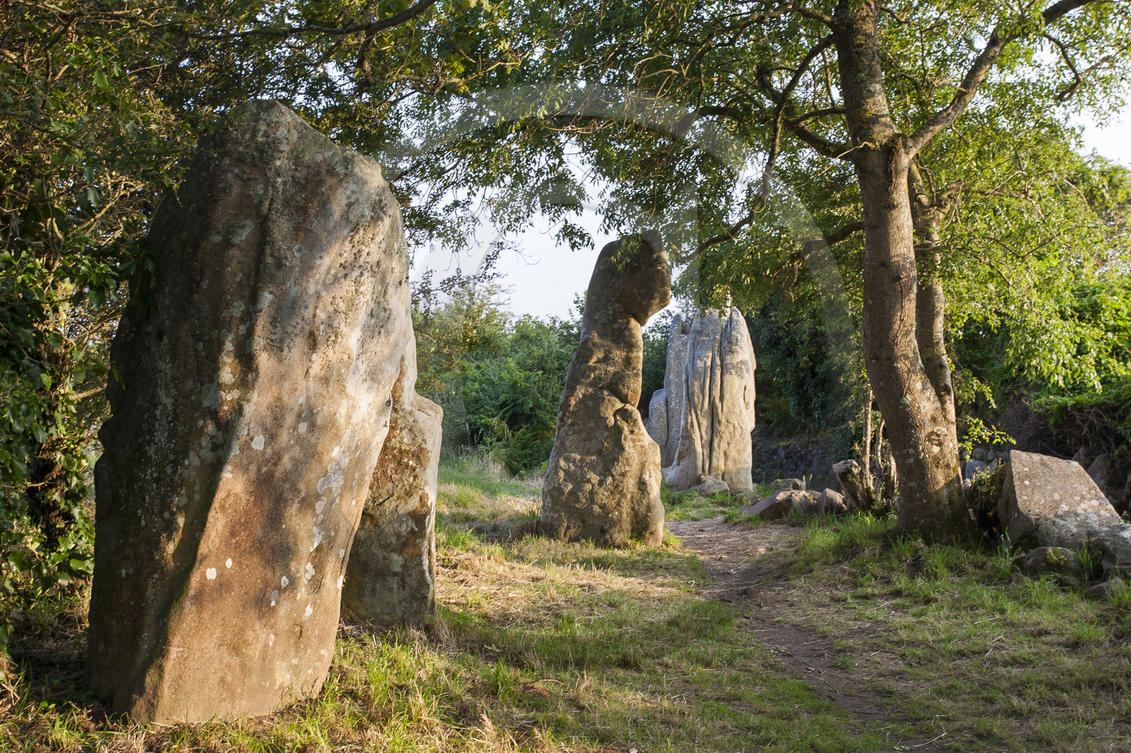 Alignements de Kerzerho _ Erdeven
