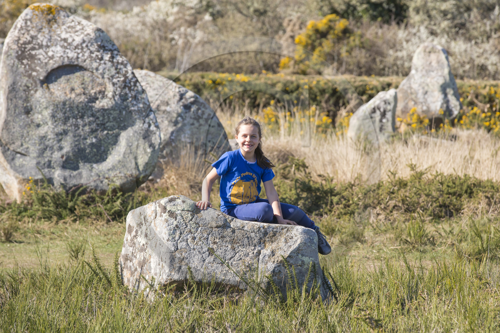 Promenade dans les alignements du Ménec à Carnac