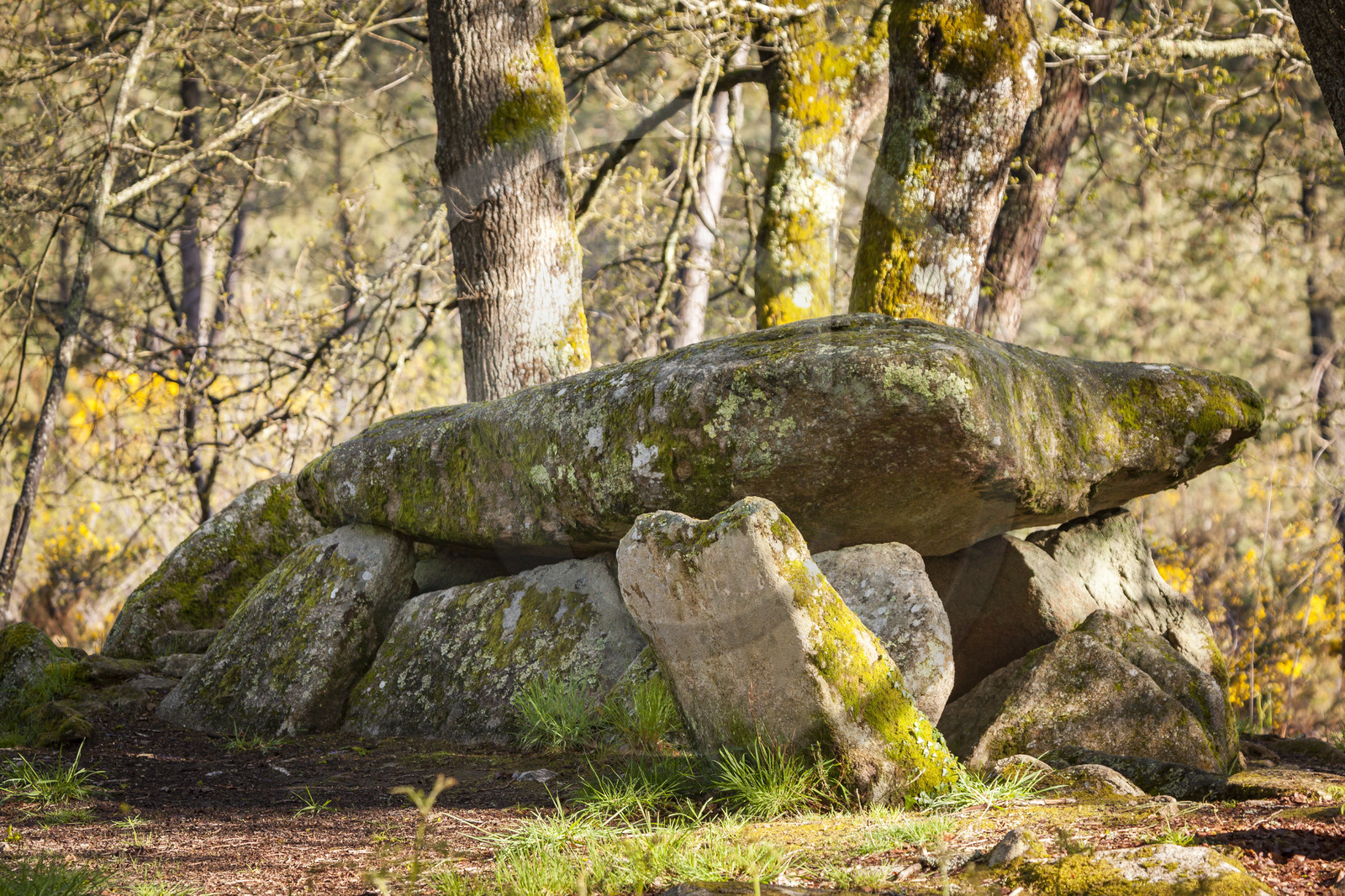 Le dolmen de la Loge au loup à Trédion