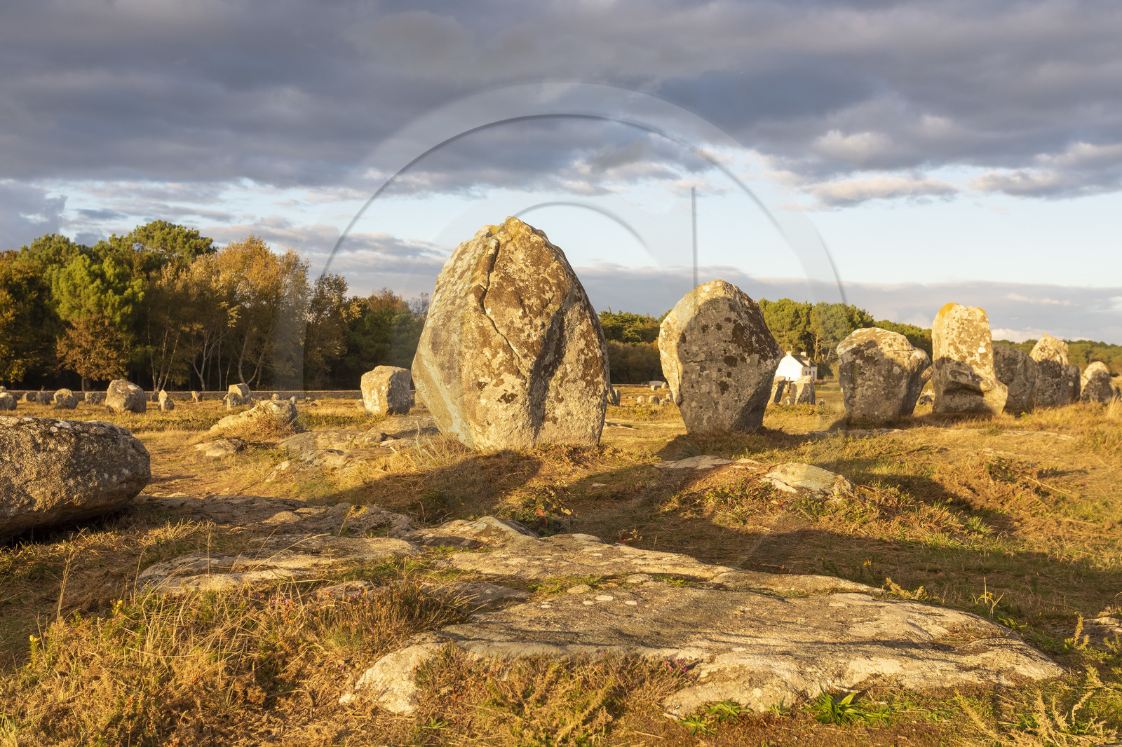 Les alignements du Ménec à Carnac