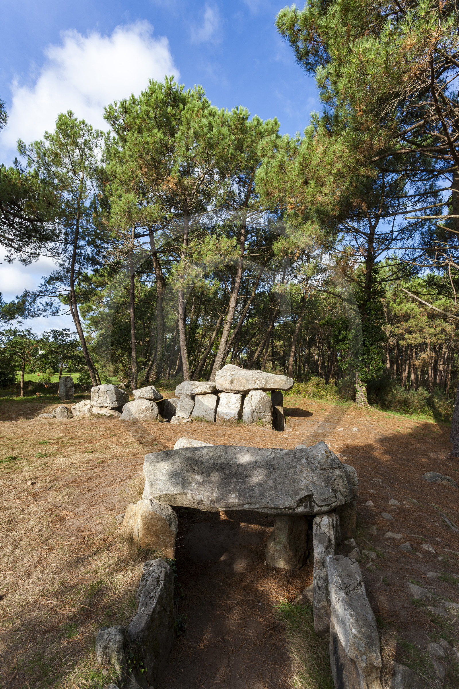Les dolmens de Mané-Kerioned à Carnac