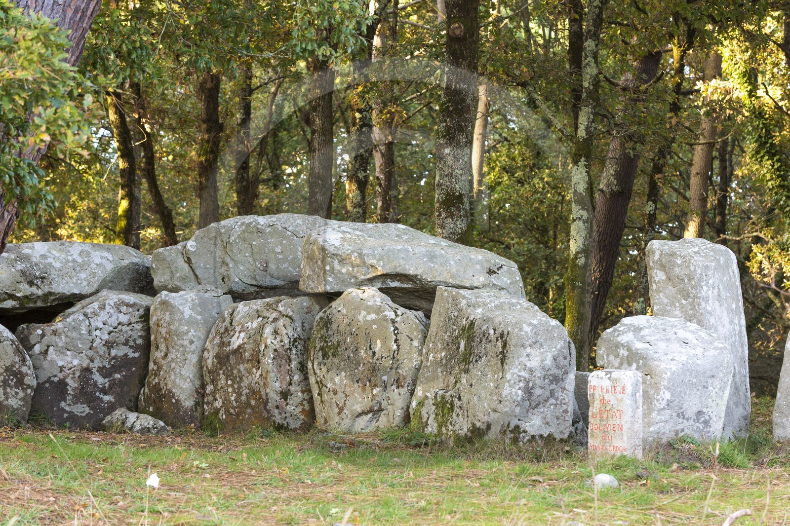 Le dolmen de Mané Groh _ Erdeven