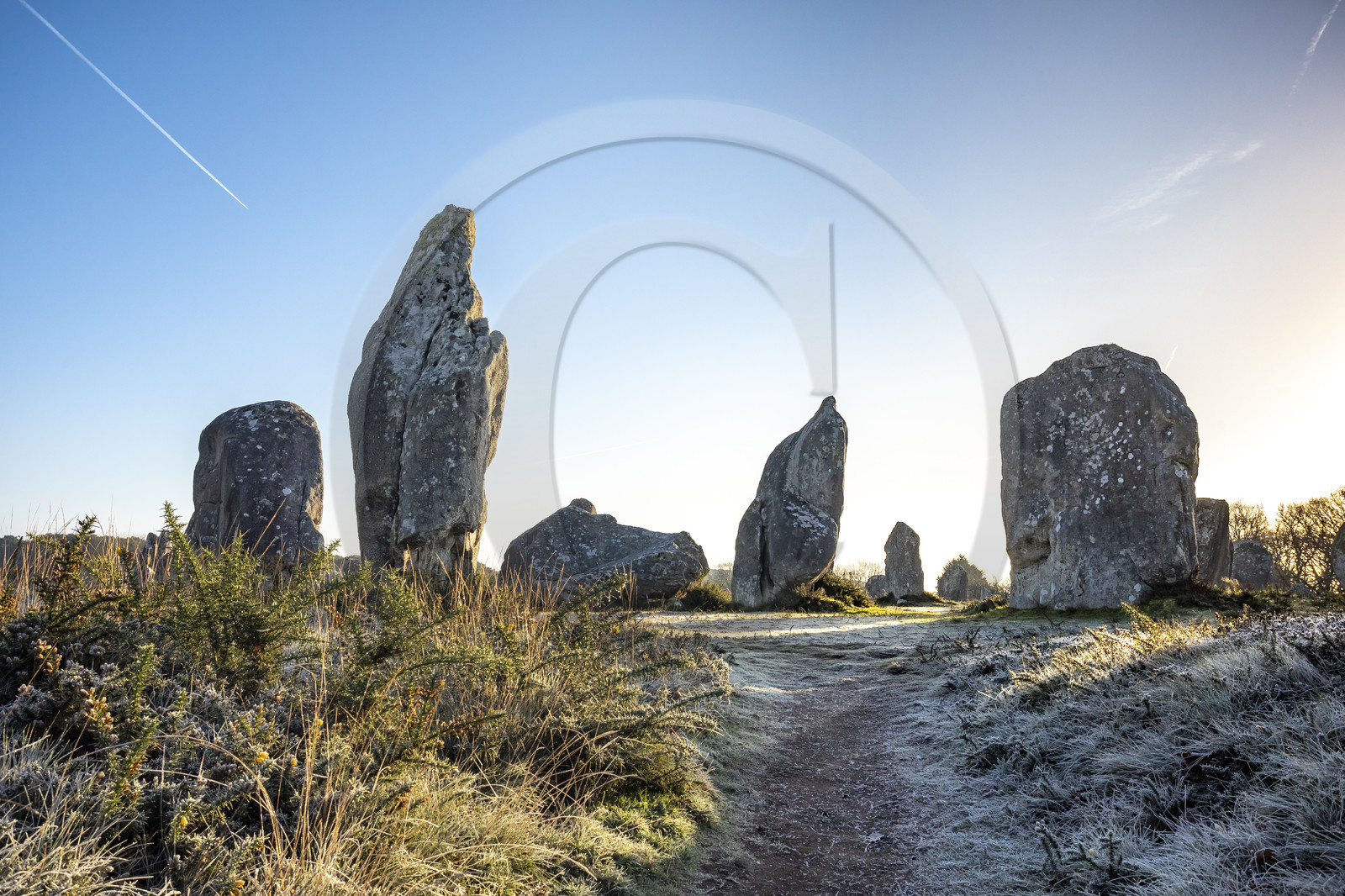 Alignements de Kermario à Carnac