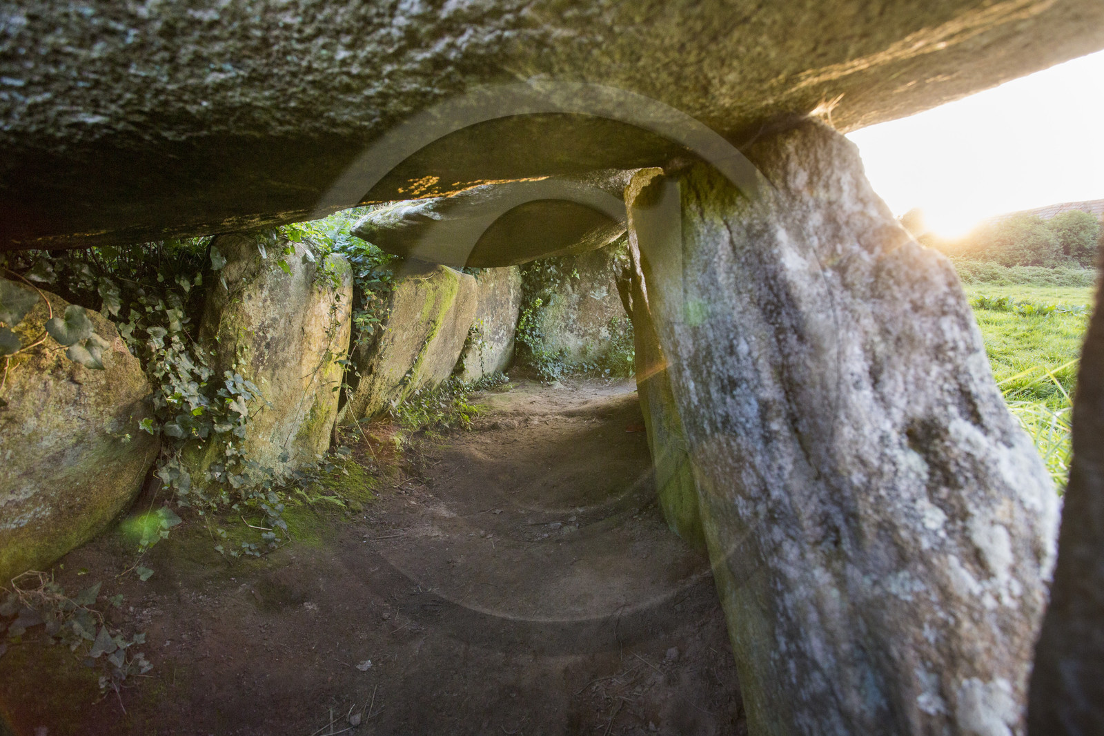 L'allée couverte de Kerguntuil à Trégastel.