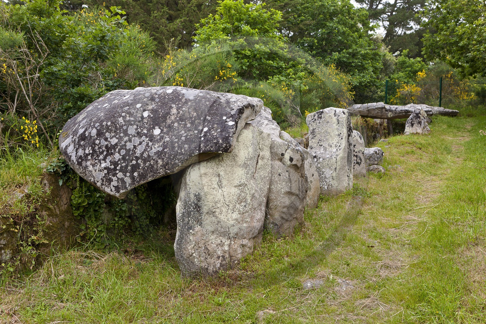 SITE ARCHEOLOGIQUE DE MANE ROULARDE _ LA TRINITE SUR MER